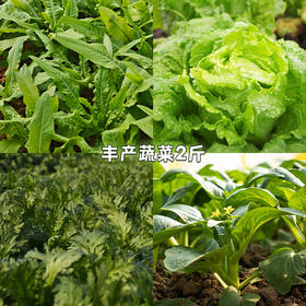 赠品：丰产蔬菜2斤