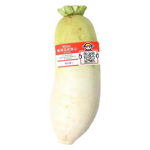 放心青尚萝卜 600g/个 商品图2