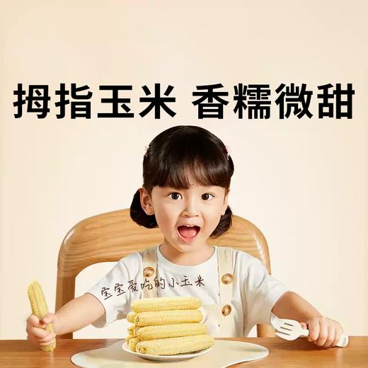 【拇指玉米】皮薄肉嫩软糯香甜  西双版纳特产品种  1斤普通装 2/4斤礼盒装（2.14-2.24停发） 商品图0