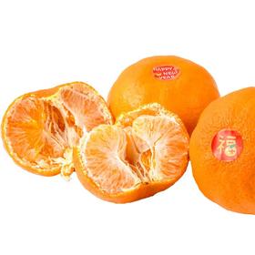 甘平柑2粒  约650g/份