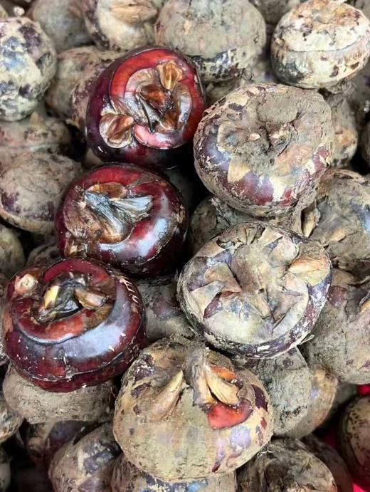 【严选】湖北农家新鲜马蹄红皮马蹄荸荠水果新鲜现挖蔬菜脆甜多汁5斤装   （厂家直发） 商品图2