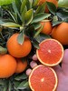 【严选】湖北秭归中华红橙现摘现发彩箱+网套5斤装/9斤装   （厂家直发） 商品缩略图0