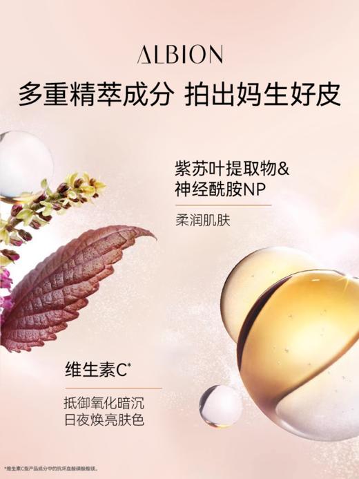 奥尔滨 【本土版】夜用美白晚安粉 商品图2