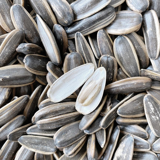 雪白仁圆罐原味葵花籽228g/罐【臻礼贺岁】 商品图4