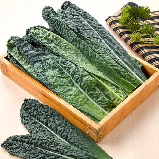 放心皱叶菜 100g/袋 商品图0