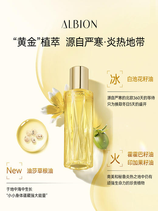 奥尔滨 [本土版] 黄金油 纹抗皱紧致补水保湿滋润舒缓面部精华油 商品图2