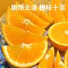 【赣南脐橙】果肉饱满营养丰富  细嫩化渣口口爆汁  好产地好水果  到手十斤（2.11-2.24） 商品缩略图4