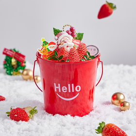 [圣诞限定]快乐了莓