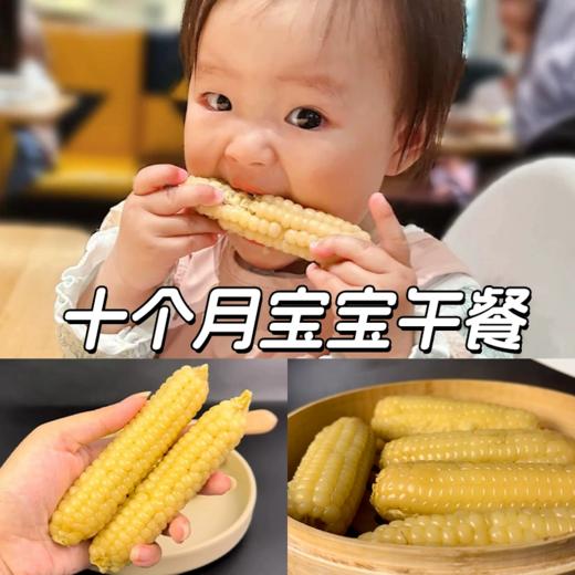 【拇指玉米】皮薄肉嫩软糯香甜  西双版纳特产品种  1斤普通装 2/4斤礼盒装（2.14-2.24停发） 商品图5