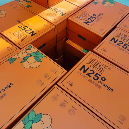 【赣南脐橙】果肉饱满营养丰富  细嫩化渣口口爆汁  好产地好水果  到手十斤（2.11-2.24） 商品图7