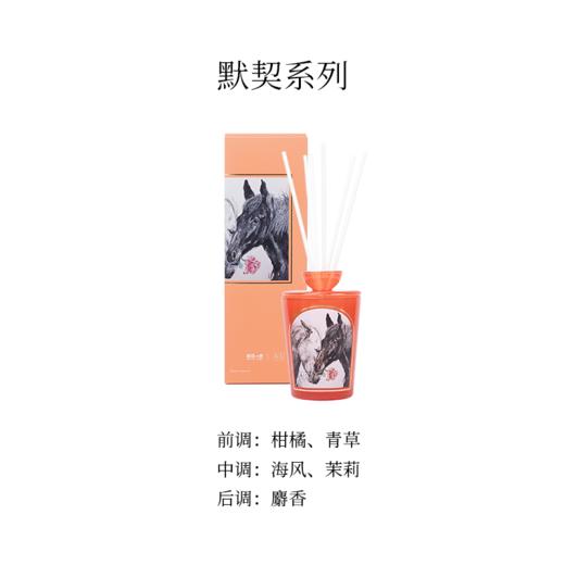 艺术家系列 陈佳 · 《默契》 · 柑橘调 商品图3