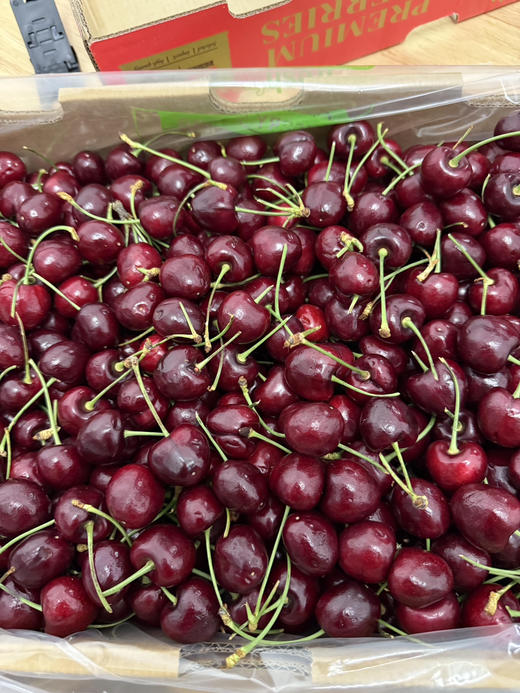 【新年爆品】19.9元每斤车厘子JD（2斤起售） 商品图1