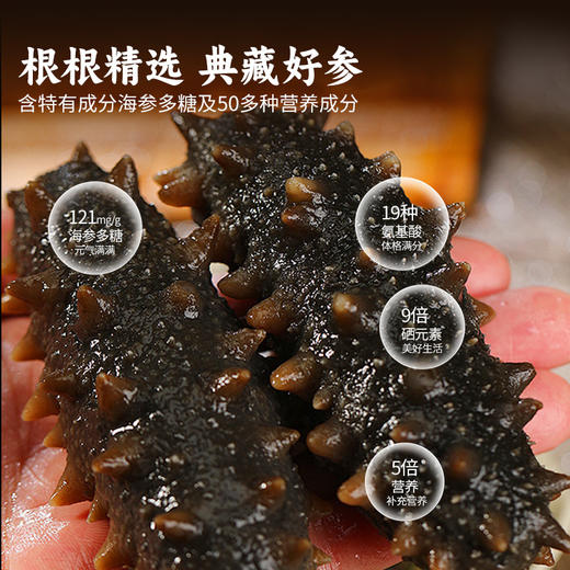 （1.20直播）言禧经典金汤罐装佛跳墙220g*6罐（固形物≥30%）【臻礼贺岁】 商品图2