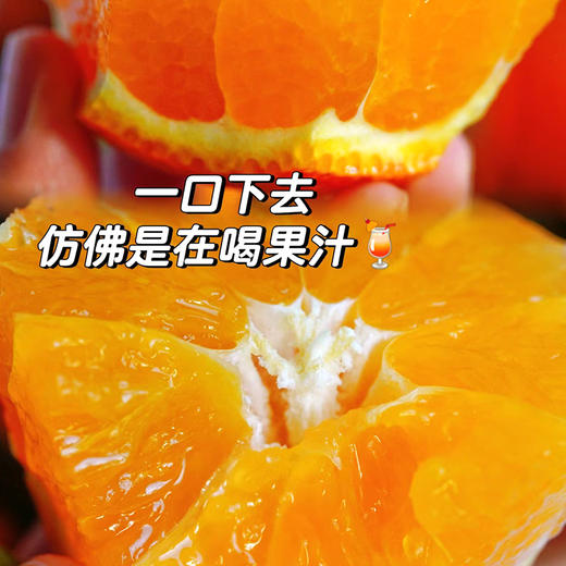 【赣南脐橙】果肉饱满营养丰富  细嫩化渣口口爆汁  好产地好水果  到手十斤（2.11-2.24） 商品图3