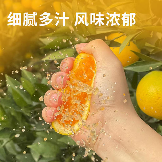 【赣南脐橙】果肉饱满营养丰富  细嫩化渣口口爆汁  好产地好水果  到手十斤（2.11-2.24） 商品图2