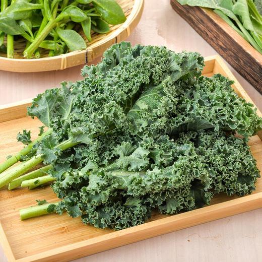 放心羽衣甘蓝 100g/份 商品图0