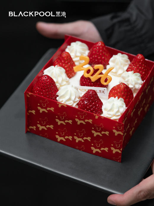 4-8人套餐：开局·红黑款+ 开运小马 （上海3月7日配送） 商品图6