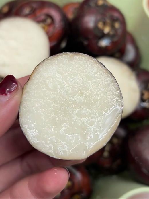 【严选】湖北农家新鲜马蹄红皮马蹄荸荠水果新鲜现挖蔬菜脆甜多汁5斤装   （厂家直发） 商品图0