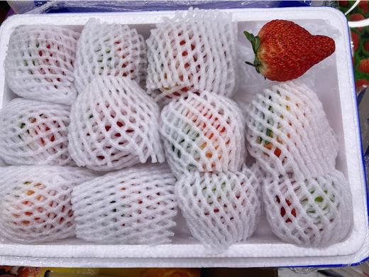 奶霸草莓一箱 商品图2