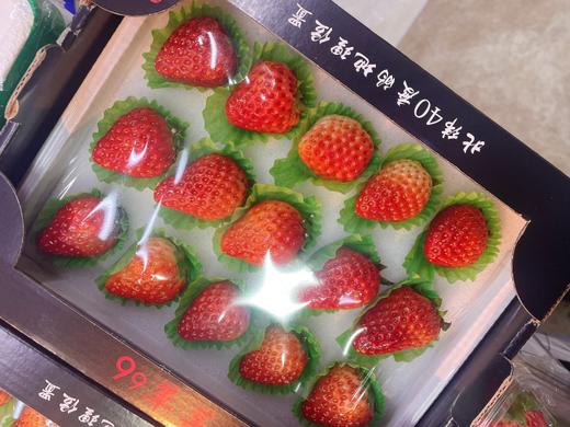 15粒黑盒草莓一盒 商品图1