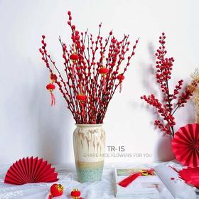 银柳10支（含小灯笼）zc