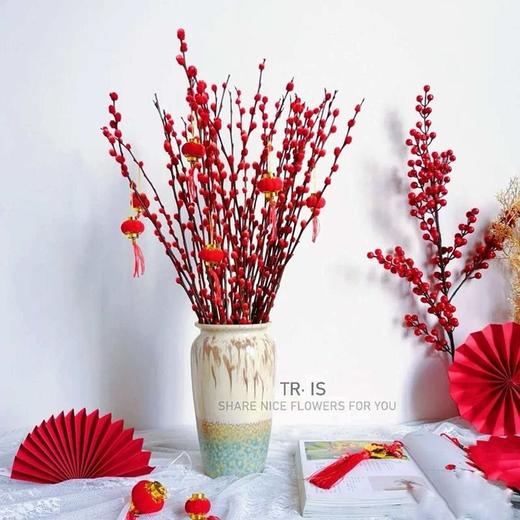 银柳10支（含小灯笼）zc 商品图0