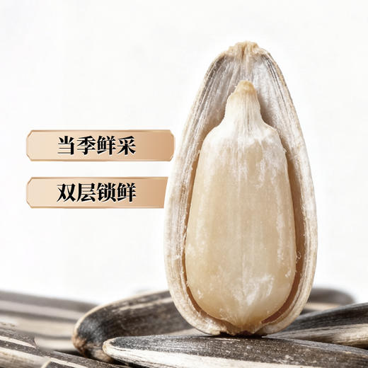雪白仁圆罐原味葵花籽228g/罐【臻礼贺岁】 商品图2