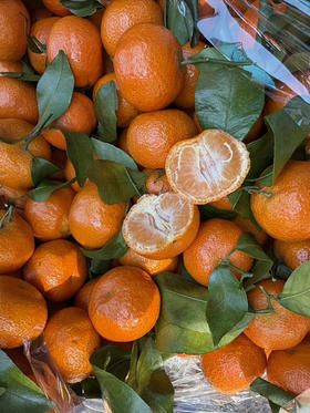 9.9元3斤广西一级砂糖橘1袋