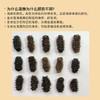 言禧即食海参500g【臻礼贺岁】 商品缩略图3