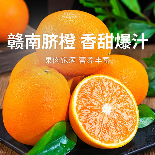 【赣南脐橙】果肉饱满营养丰富  细嫩化渣口口爆汁  好产地好水果  到手十斤（2.11-2.24） 商品图0