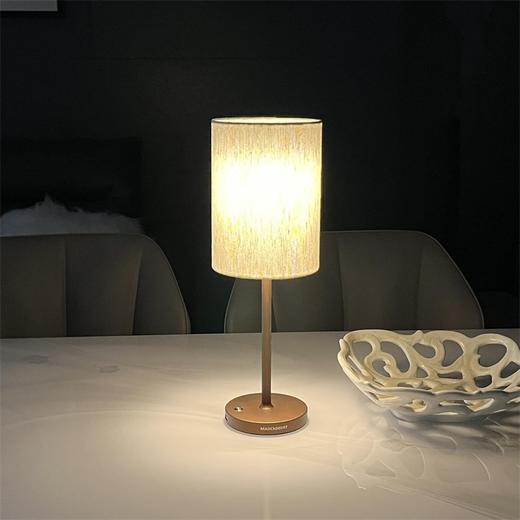 意大利 MADCKDEDRT 高品质LED充电台灯 配备两种不同形状布艺灯罩 金属防滑底座 商品图3