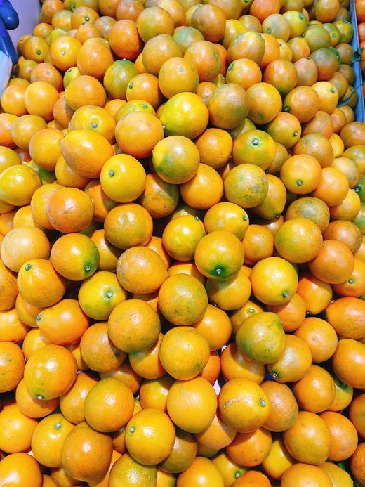 脆蜜金柑一斤 商品图1