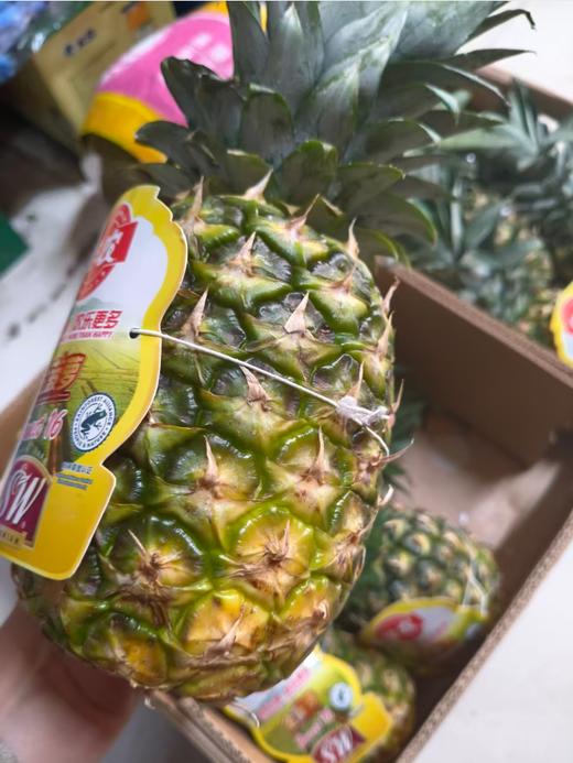 佳农金菠萝一个 商品图0