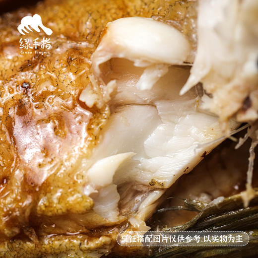 野生东山岛小真鲷鱼| 合作生产*Wild hairtail | Coprodution 商品图3