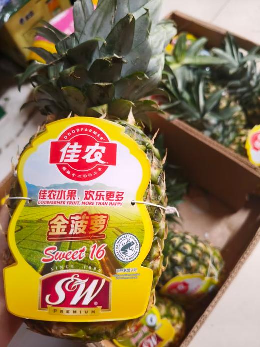 佳农金菠萝一个 商品图2