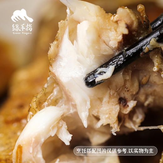 野生东山岛小真鲷鱼| 合作生产*Wild hairtail | Coprodution 商品图2