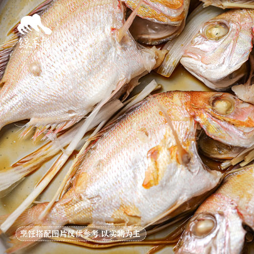 野生东山岛小真鲷鱼| 合作生产*Wild hairtail | Coprodution 商品图1