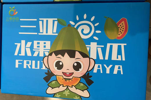 山丘高山自然熟木瓜五斤礼盒 商品图0