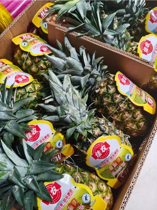 佳农金菠萝一个 商品图1