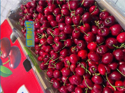 都乐车厘子一箱（10斤装） 商品图1