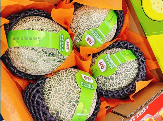 都乐网纹蜜瓜一箱 商品图0