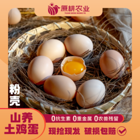 山养土鸡蛋(粉壳)