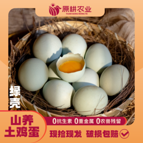 山养土鸡蛋(绿壳)