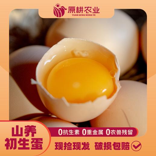 原耕全粮散养初生蛋10枚体验装（活动链接勿拍） 商品图0
