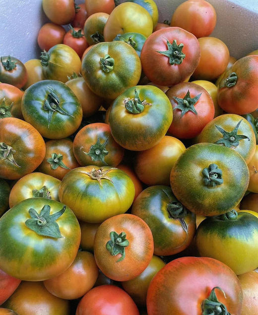 特价草莓柿子 商品图1