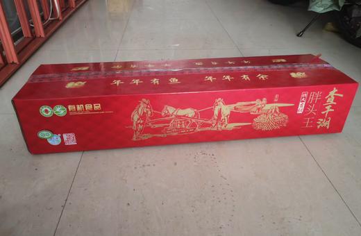 查干湖26年冬捕胖头鱼（10斤/11斤/12斤） 商品图2