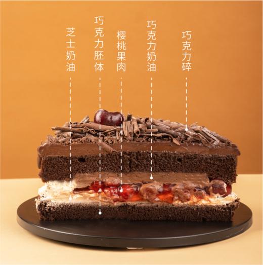 Coco布朗尼8英寸 商品图1