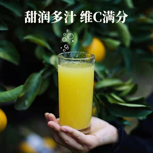 山妞甜橘柚10斤装礼盒（果径75果）（商） 商品图3