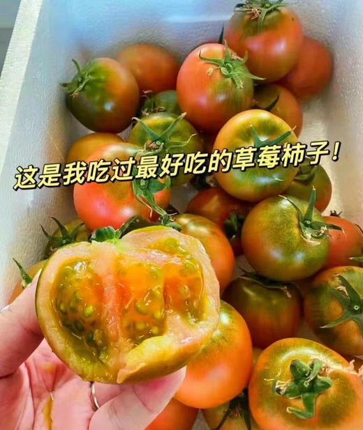 特价草莓柿子 商品图0