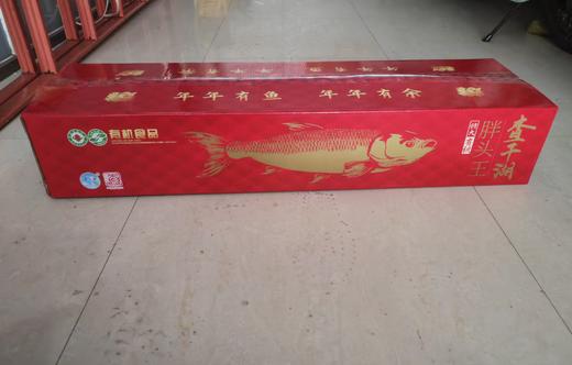 查干湖26年冬捕胖头鱼（10斤/11斤/12斤） 商品图1